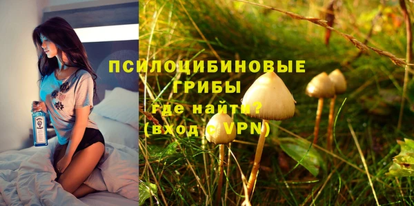 ПСИЛОЦИБИНОВЫЕ ГРИБЫ Алзамай