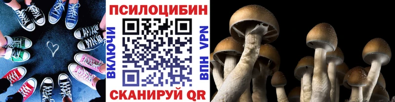 Псилоцибиновые грибы мухоморы  Сухиничи 
